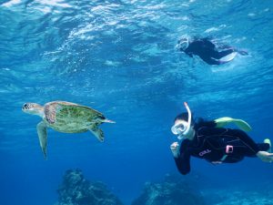 ２月スキンダイビング