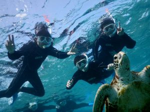 宮古島への社員旅行はウミガメとシュノーケルで決まり