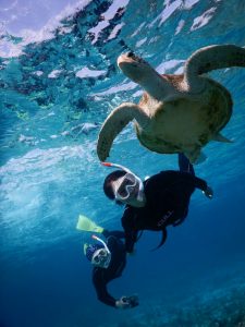 二人同時に宮古島で綺麗にスキンダイビング