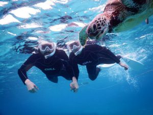 カナダから宮古島にウミガメに会いに