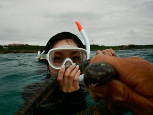 宮古島のウミヘビさんとシュノーケル