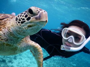 ウミガメ大好きです宮古島来て良かった