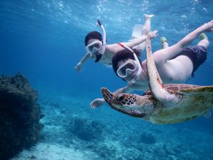 久々に宮古島ビキニシュノーケル