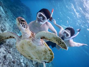 宮古島でスキンダイビングするならビキニで