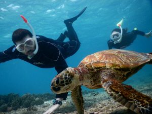 シュノーケルのマスクが似合う