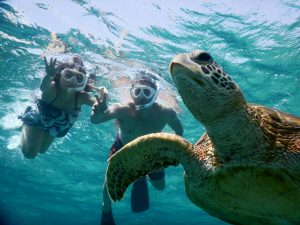 宮古島もシュノーケルが水着で可能に