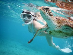 宮古島で美しいシュノーケル