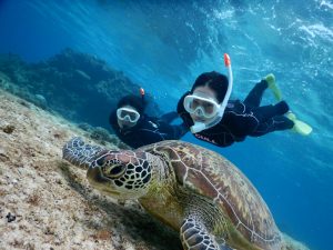 宮古島で二人同時にウミガメスキンダイビング