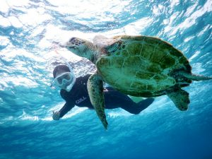 天気が曇りの宮古島でも綺麗に撮影