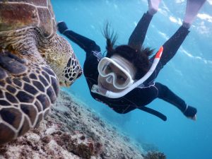 宮古島のウミガメとにらめっこ