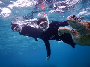 宮古島でのシュノーケルをより楽しくするウミガメスキンダイビング