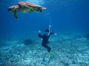 スキンダイビング宮古島で上手すぎる