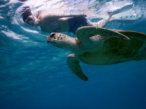 少し寒いけど水着でシュノーケル