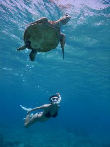 水着でウミガメと宮古島スキンダイビング