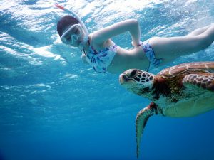 綺麗な姿勢でスキンダイビング