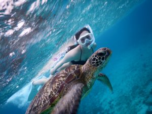 雨の宮古島でもウミガメさんと明るく撮影