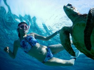 リアルマーメイドとウミガメ