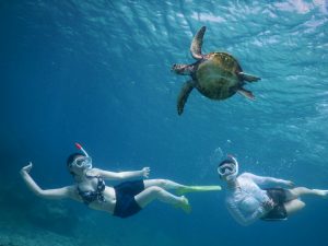 スキンダイビングでシンクロ