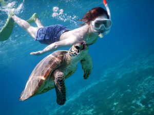 綺麗にスキンダイビング