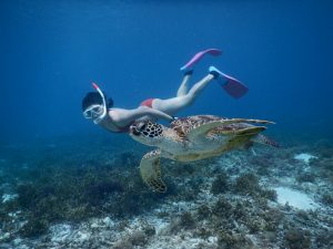 シュノーケリングからスキンダイビングへ