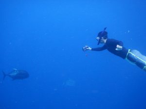 ロウニンドロップ