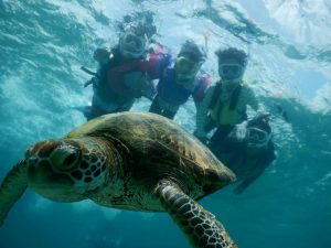 小さなお子様もシュノーケリングで