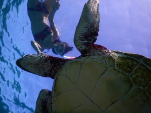 いらいろなアングルから撮影するシュノーケリング