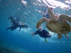 毎年シュノーケリングに来て下さり、ありがとうございます