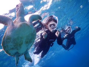 雨の日には是非宮古島でウミガメとシュノーケリングを
