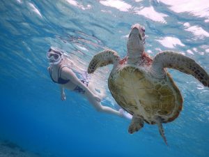 ビキニ美女と宮古島シュノーケリング