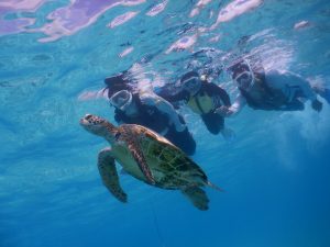 2018年夏休みのシュノーケリングは海umiで是非