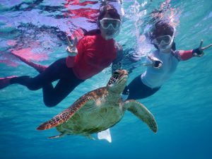 綺麗な海でウミガメとﾋﾟｰｽ