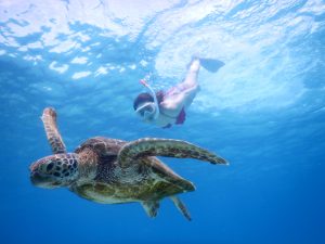深く潜るならどっちもシュノーケルツアー