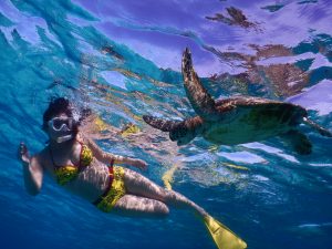 黄色いビキニとウミガメがシュノーケリング