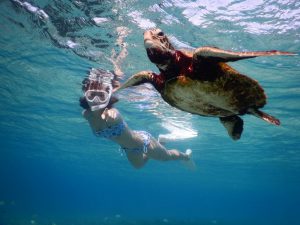 冬は宮古島にシュノーケル