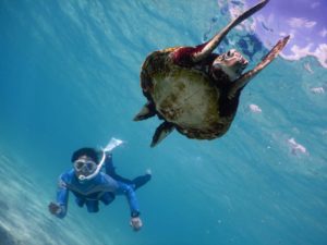 ウミガメさんがバンザイするほど綺麗な宮古島の冬の海