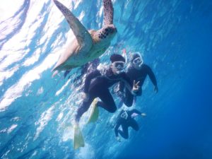 宮古島の社員旅行でもウミガメを