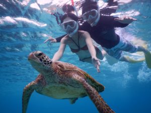 冬でも工夫して宮古島ウミガメシュノーケル水着撮影できますよ