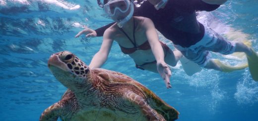 冬でも工夫して宮古島ウミガメシュノーケル水着撮影できますよ