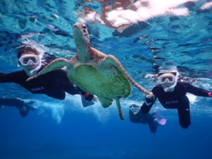 雨でも宮古島シュノーケルは楽しめます