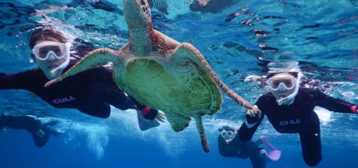 雨でも宮古島シュノーケルは楽しめます