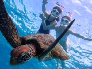 ウミガメシュノーケル